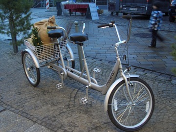 Tandem bicycle rental: Perle-Dreirad