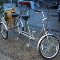 Tandem bicycle rental: Perle-Dreirad