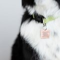 Selling: Pet ID Tag Hand Stamped Copper