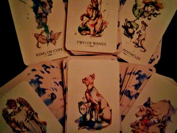Selling: Relationship and work 6 month tarot reading by email.