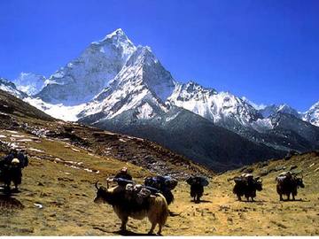 Réserver (avec paiement en ligne): Camp de base de l'Everest - Népal