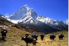 Réserver (avec paiement en ligne): Camp de base de l'Everest - Népal