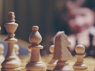 Services (Per event pricing): Chess Lessons and Play
