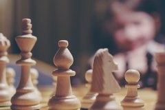 Services (Per event pricing): Chess Lessons and Play
