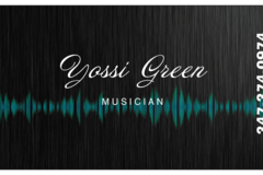 Accept Deposits Online: Yossi Green