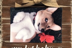 Selling: Our Fur Baby or My Fur Baby Frame