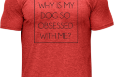 Selling: Why is My Dog so Obssessed with Me?