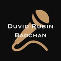 Accept Deposits Online: Duvid Rubin