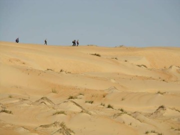 Réserver (avec paiement en ligne): Trek Chinguitti - terjit - Mauritanie
