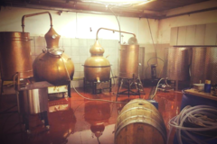 Buy Experiences: Golani Whisky Tasting & Distillery Tour