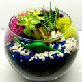 Request To Book & Pay In-Person (hourly/per party package pricing): Plant & Sip Planting Parties!