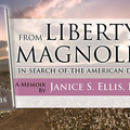 Media Expert: From Liberty to Magnolia: In Search of the American Dream