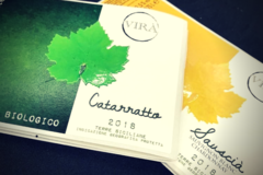 Buy Products: Catarratto 2018