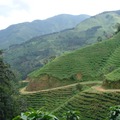Réserver (avec paiement en ligne): Trek entre Montagne et Mer - Costa Rica