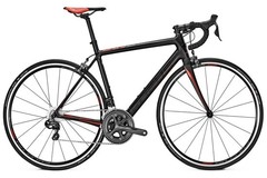 Weekly Rate: Focus  Cayo Ultegra Di2 - Medium - DELIVERY & PICK-UP INCLUDED