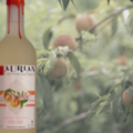 Buy Products: Peach Flavoured Wine