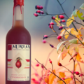 Buy Products: Rosehip Flavoured Wine