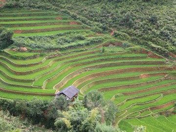 Réserver (avec paiement en ligne): Trek ethnies et rizières du Nord - Vietnam