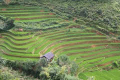 Réserver (avec paiement en ligne): Trek ethnies et rizières du Nord - Vietnam