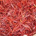 Sell: Piment Bec d'oiseau du Bénin