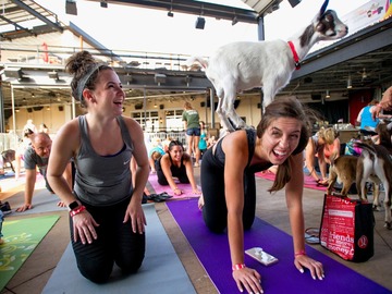 Request To Book & Pay In-Person (hourly/per party package pricing): Happy Goat Yoga Parties