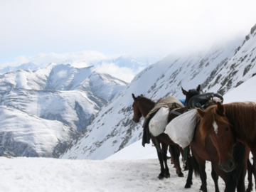 Request for a quote: Transhumance and Horseback trek in Tusheti - Georgia