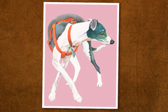 Selling: Italian Greyhound Print