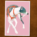 Selling: Italian Greyhound Print