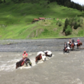 Réserver (avec paiement en ligne): Self sufficient horseback trek in Tusheti - Georgia