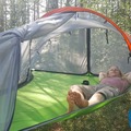Renting out (per night): Tentsile Connect, 2 hlön puumajoite