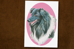 Selling: Shetland Sheepdog (Sheltie) Print