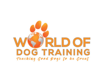 Coaching Session: Best Online Dog Coach with Celebrity Dog Trainer