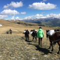 Book (with online payment): Tailor made hike in Tusheti, private group - Georgia