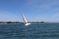 Boat Charter: Team Challenge Sailing Regatta