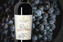 Buy Products: Merlot 2018 (Sulfite Free)