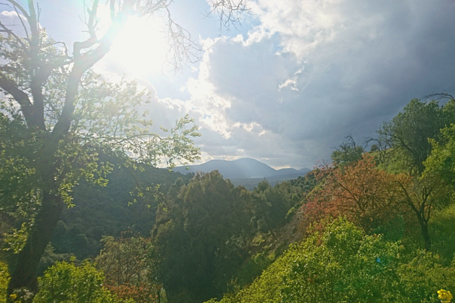 Shoshani Winery Guest House