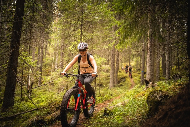Fatbike ( Felt DD 30 ) koot S, M ja L