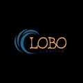 Accept Deposits Online: Lobo Lighting and Sound