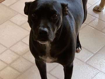   : Doug