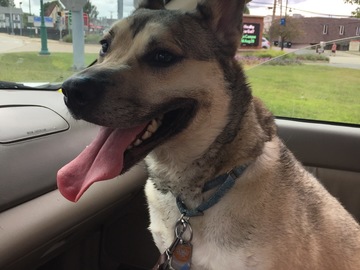   : Kiba
