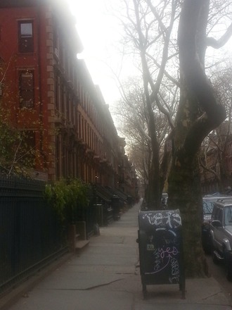 Brooklyn NY, Downtown Near Barclays & Shopping