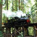 Custom Package: Train rides thru the Redwoods