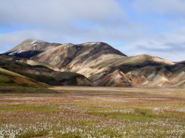 Réserver (avec paiement en ligne): Trek de Laugavegur - Islande