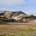 Réserver (avec paiement en ligne): Trek de Laugavegur - Islande