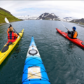 Réserver (avec paiement en ligne): Fjords du Nord Ouest en kayak - Islande