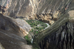 Book (with online payment): Trek au Canyon de Colca - Pérou