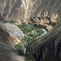 Réserver (avec paiement en ligne): Trek au Canyon de Colca - Pérou