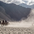 Request for a quote: Short Ladakh Trip - India