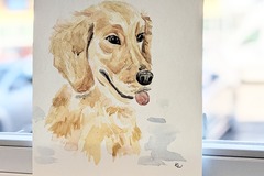 Selling: Custom Watercolor Pet Portraits 