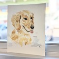Selling: Custom Watercolor Pet Portraits 